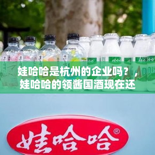 娃哈哈是杭州的企业吗？，娃哈哈的领酱国酒现在还在销售吗？