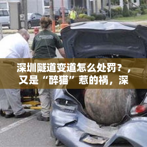 深圳隧道变道怎么处罚？，又是“醉猫”惹的祸，深圳男子醉酒逆行驶入隧道与对向车相撞, 你怎么看？