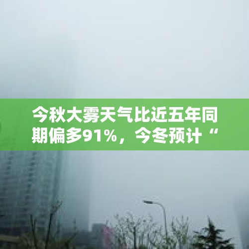 今秋大雾天气比近五年同期偏多91%，今冬预计“后冬偏冷” - 今日头条