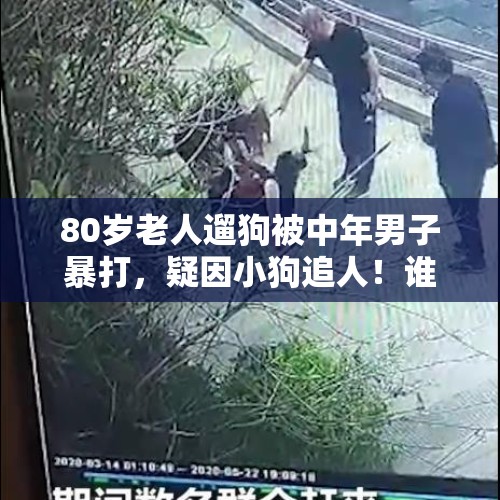 80岁老人遛狗被中年男子暴打，疑因小狗追人！谁的错？，骑单车遛狗撞伤老人