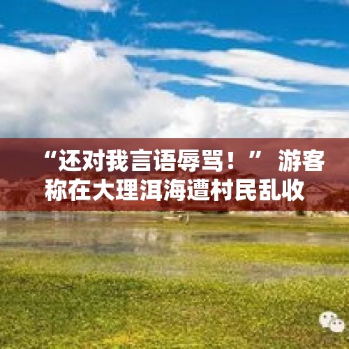 “还对我言语辱骂！” 游客称在大理洱海遭村民乱收停车费，官方回应 - 今日头条