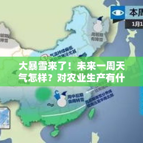 大暴雪来了！未来一周天气怎样？对农业生产有什么影响？ - 今日头条