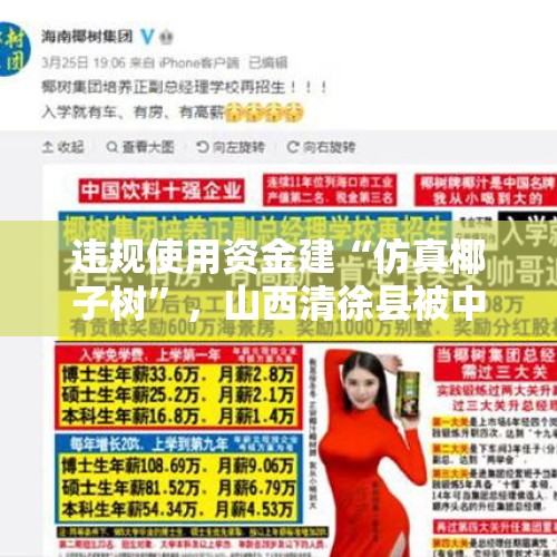 违规使用资金建“仿真椰子树”，山西清徐县被中央点名通报后连夜拆除 - 今日头条