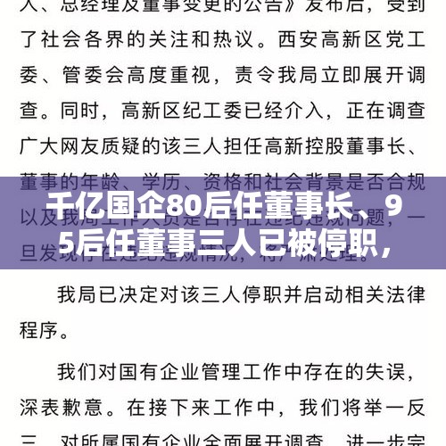 千亿国企80后任董事长、95后任董事三人已被停职，你怎么看？，董事长离任审计一般查什么？