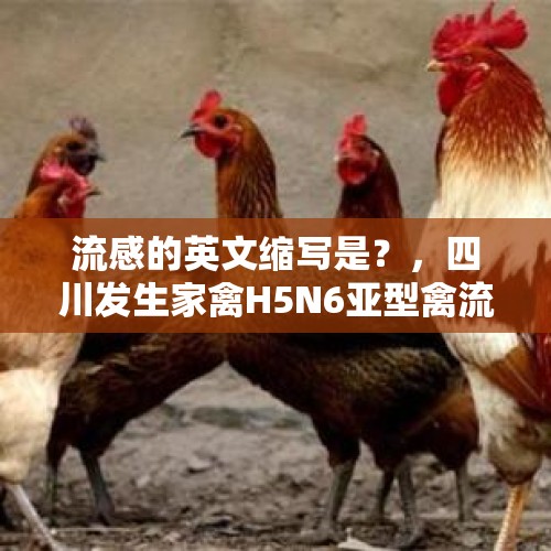 流感的英文缩写是？，四川发生家禽H5N6亚型禽流感，发病死亡1840只，风险如何？