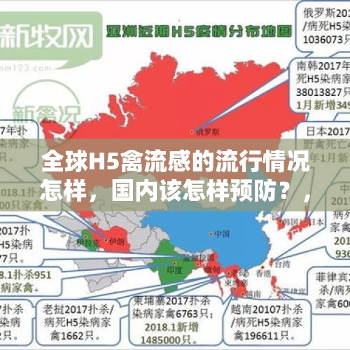 全球H5禽流感的流行情况怎样，国内该怎样预防？，H5N1与H1N1？