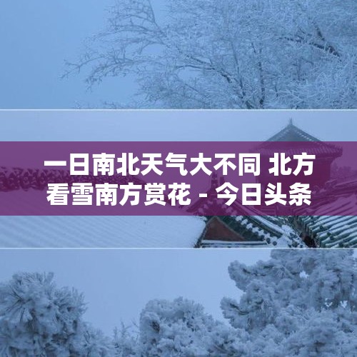 一日南北天气大不同 北方看雪南方赏花 - 今日头条