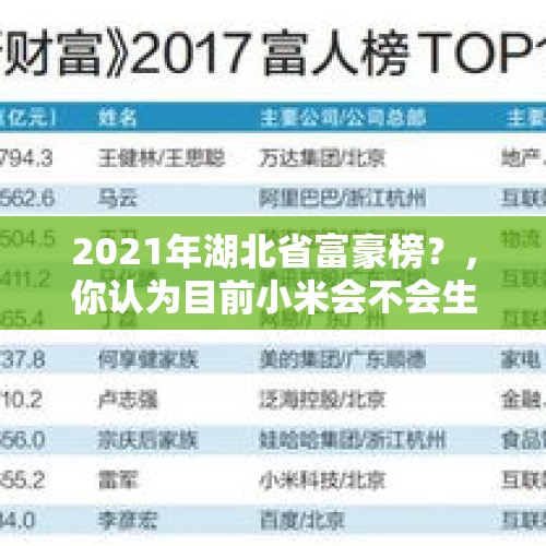 2021年湖北省富豪榜？，你认为目前小米会不会生产汽车？为什么？