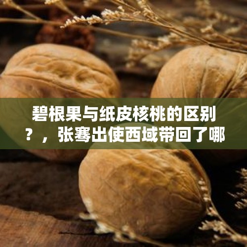 碧根果与纸皮核桃的区别？，张骞出使西域带回了哪些食物？