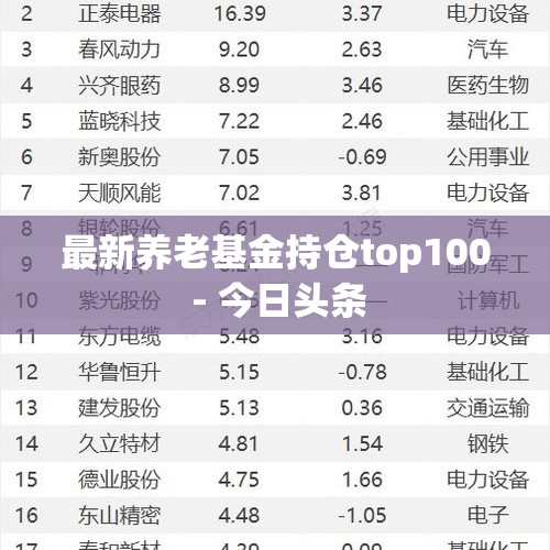 最新养老基金持仓top100 - 今日头条