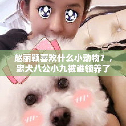 赵丽颖喜欢什么小动物？，忠犬八公小九被谁领养了？