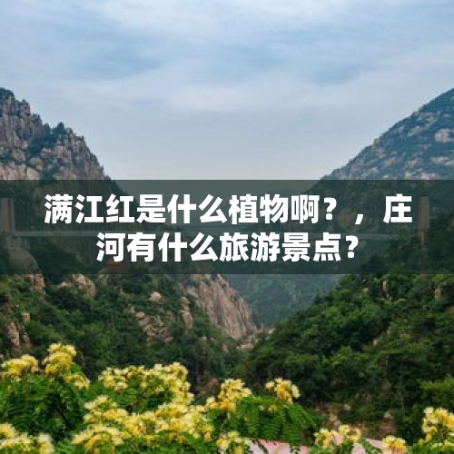 满江红是什么植物啊？，庄河有什么旅游景点？