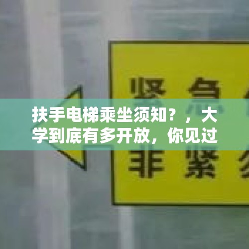 扶手电梯乘坐须知？，大学到底有多开放，你见过哪些奇葩事？