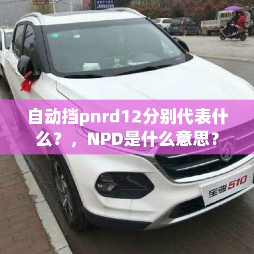 自动挡pnrd12分别代表什么？，NPD是什么意思？