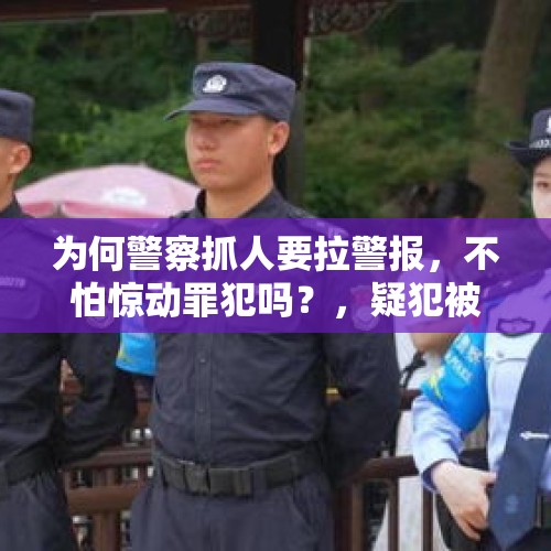 为何警察抓人要拉警报，不怕惊动罪犯吗？，疑犯被司机送派出所