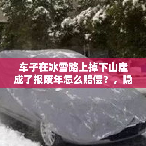 车子在冰雪路上掉下山崖成了报废年怎么赔偿？，隐秘访客深度解析？