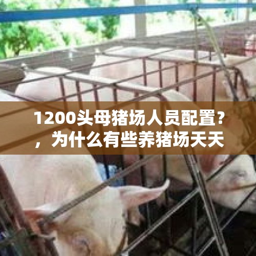 1200头母猪场人员配置？，为什么有些养猪场天天招饲养员？