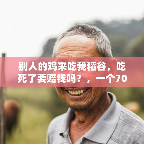 别人的鸡来吃我稻谷，吃死了要赔钱吗？，一个70多岁的老头在我家房子外面烧火引起火灾能让他儿子赔偿吗？