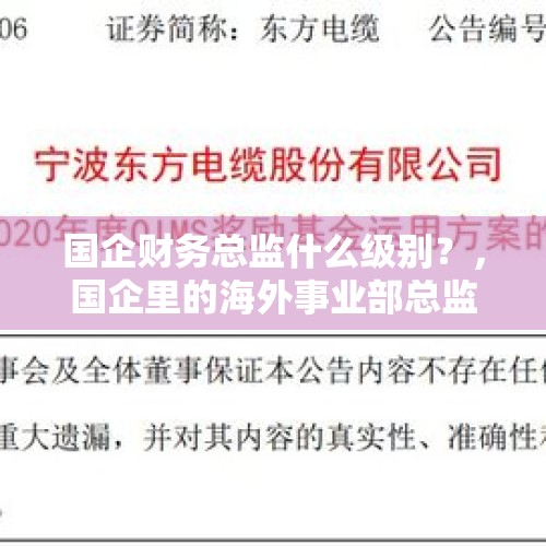 国企财务总监什么级别？，国企里的海外事业部总监是多大的官？