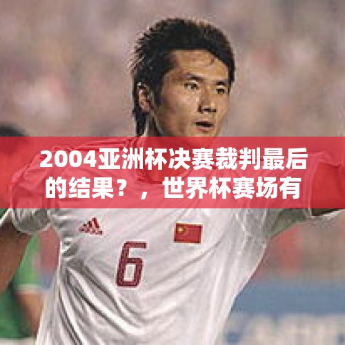 2004亚洲杯决赛裁判最后的结果？，世界杯赛场有中国裁判吗？