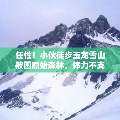 任性！小伙徒步玉龙雪山被困原始森林，体力不支终获救, 你怎么看？，在玉龙雪山失联青岛驴友遗体已找到，开辟新路时坠崖，你怎么看？