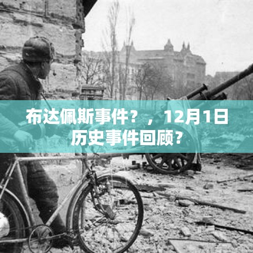 布达佩斯事件？，12月1日历史事件回顾？