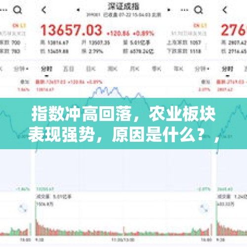 指数冲高回落，农业板块表现强势，原因是什么？，你有没有过露宿街头或者野外的经历？