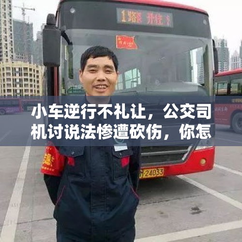 小车逆行不礼让，公交司机讨说法惨遭砍伤，你怎么看？，尔滨司机学第三外语