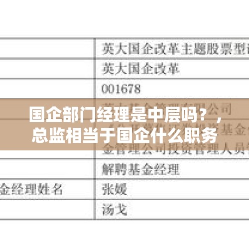 国企部门经理是中层吗？，总监相当于国企什么职务？