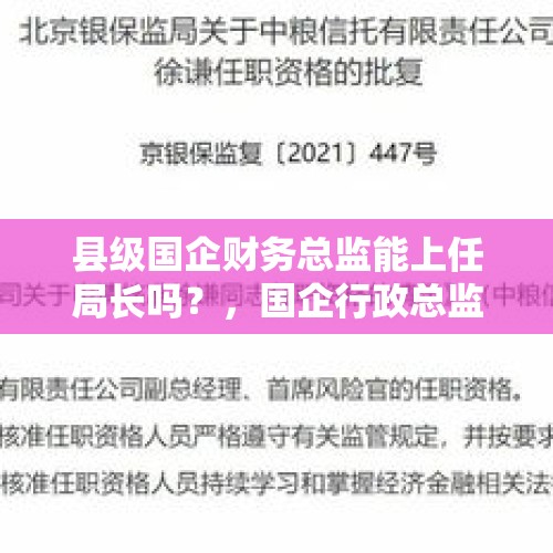 县级国企财务总监能上任局长吗？，国企行政总监职责？