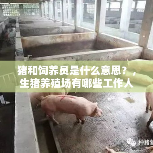 猪和饲养员是什么意思？，生猪养殖场有哪些工作人员？