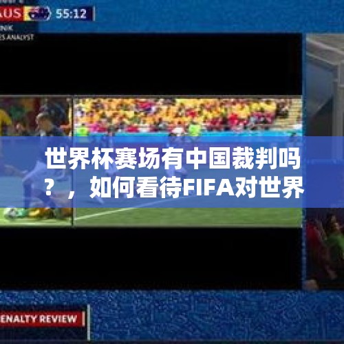 世界杯赛场有中国裁判吗？，如何看待FIFA对世界杯裁判组的亚洲籍裁判进行严格审查？能查出法加尼吗？