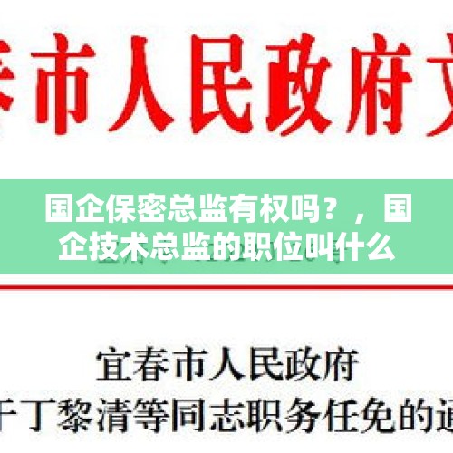 国企保密总监有权吗？，国企技术总监的职位叫什么？