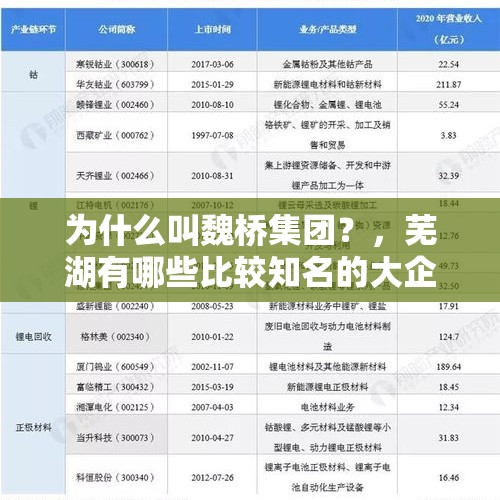 为什么叫魏桥集团？，芜湖有哪些比较知名的大企业？