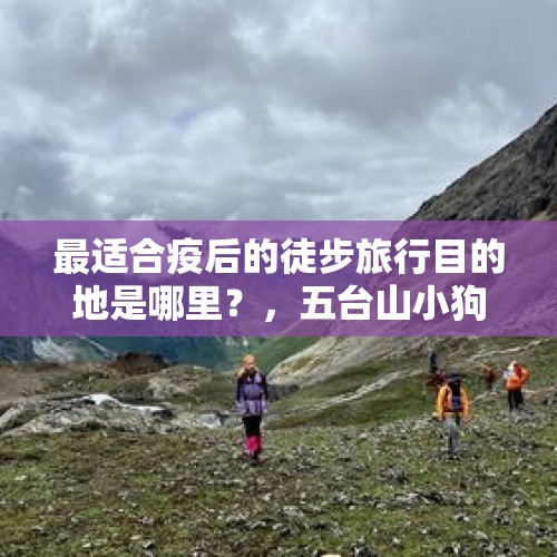 最适合疫后的徒步旅行目的地是哪里？，五台山小狗到达新家