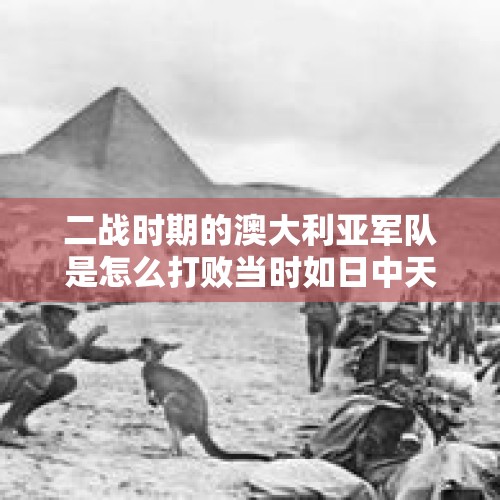 二战时期的澳大利亚军队是怎么打败当时如日中天的日本？，日本在战前把建造大和武藏舰的资金用于建造航空母舰，在太平洋战争中会有什么作用？