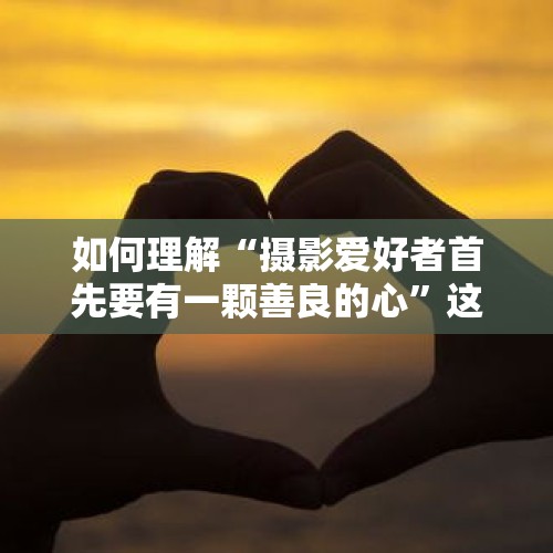 如何理解“摄影爱好者首先要有一颗善良的心”这个说法？你觉得什么是摄影爱好者的底线？，摄协主席作品疑作假