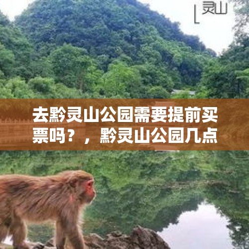 去黔灵山公园需要提前买票吗？，黔灵山公园几点放猴？