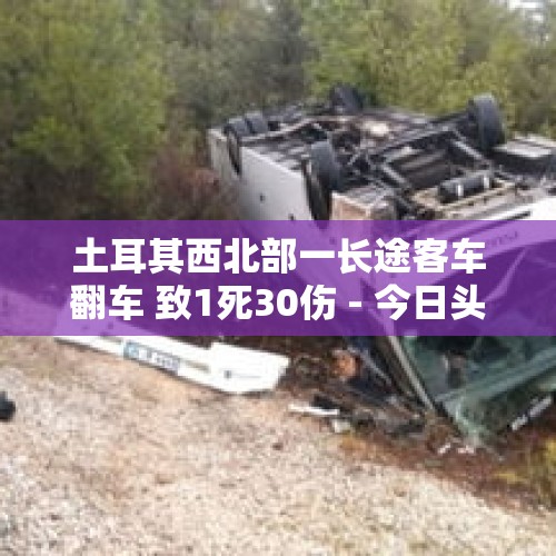 土耳其西北部一长途客车翻车 致1死30伤 - 今日头条