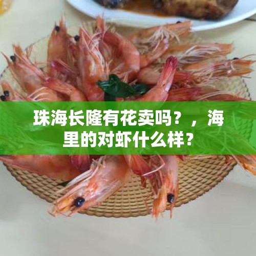 珠海长隆有花卖吗？，海里的对虾什么样？