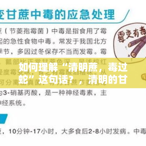 如何理解“清明蔗，毒过蛇”这句话？，清明的甘蔗真的不能吃吗？