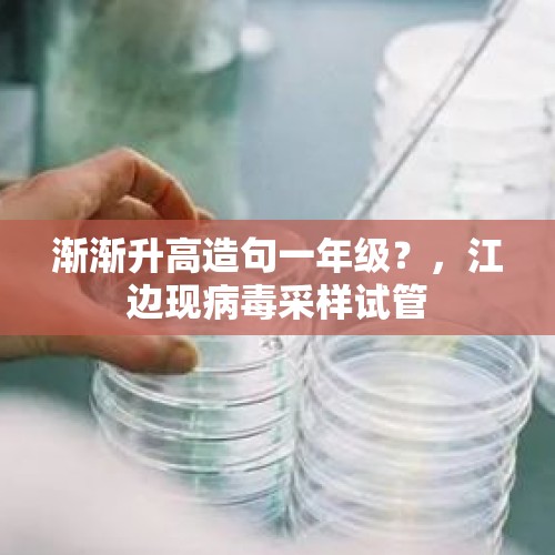 渐渐升高造句一年级？，江边现病毒采样试管