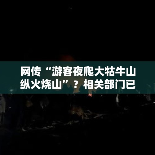 网传“游客夜爬大牯牛山纵火烧山”？相关部门已成立调查组 - 今日头条