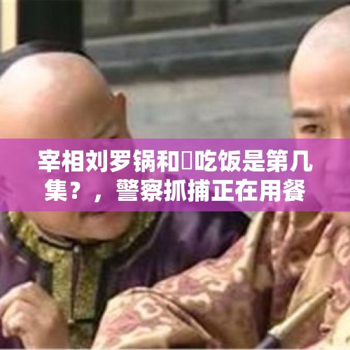 宰相刘罗锅和珅吃饭是第几集？，警察抓捕正在用餐的犯罪嫌疑人，被抓捕对象的餐费谁来付？