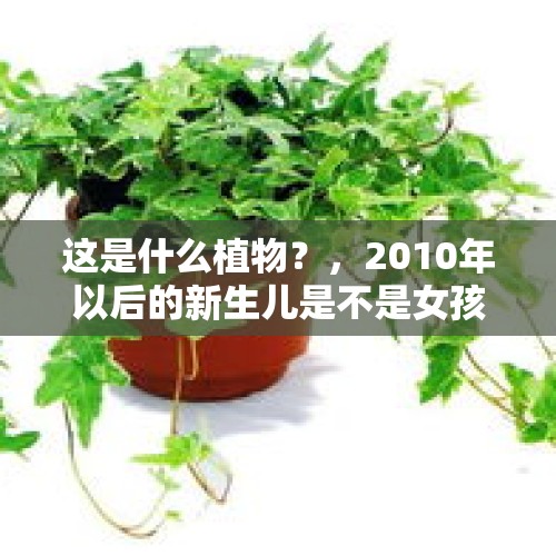 这是什么植物？，2010年以后的新生儿是不是女孩多了？