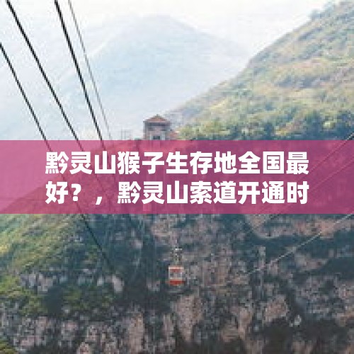 黔灵山猴子生存地全国最好？，黔灵山索道开通时间？