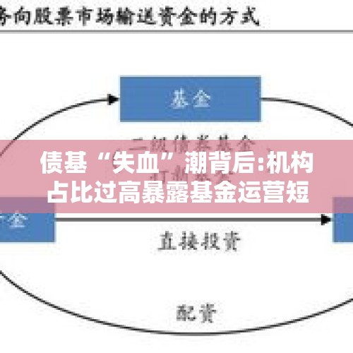 债基“失血”潮背后:机构占比过高暴露基金运营短板 - 今日头条