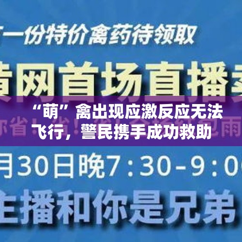 “萌”禽出现应激反应无法飞行，警民携手成功救助 - 今日头条