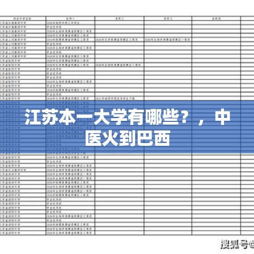 江苏本一大学有哪些？，中医火到巴西