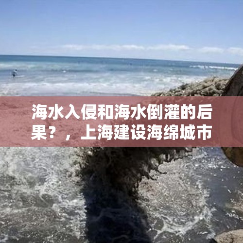 海水入侵和海水倒灌的后果？，上海建设海绵城市为什么能防止海水倒灌？